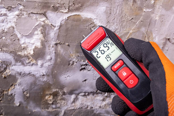 Best Crawl Space Mold Removal  in Eyota, MN