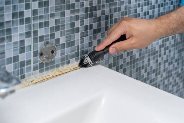 Best Emergency Mold Removal  in Eyota, MN